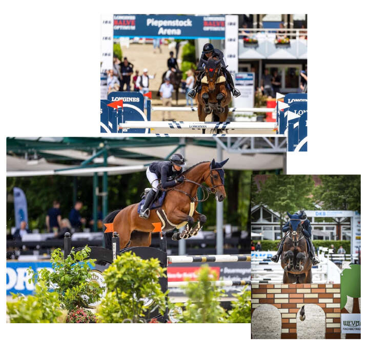 marie ligges derby community collage reiten pferd